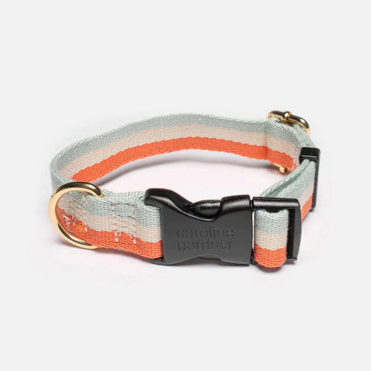 Blue/Coral Orange Stripe Dog Collar